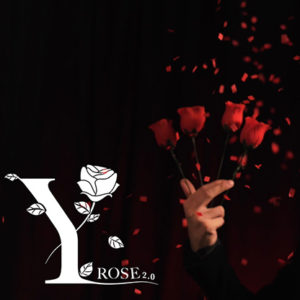 The Rose 2.0 ក្បាច់ជប់ផ្កា